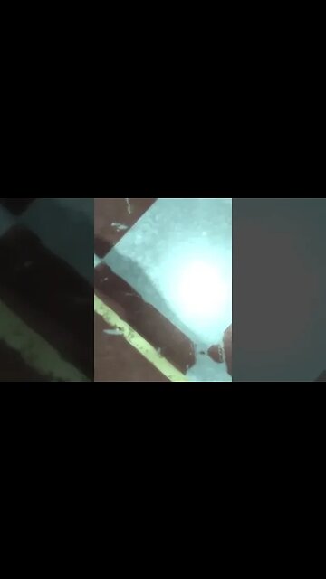 I Can't Feel My Legs!! #shorts