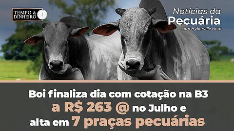 Boi finaliza dia com cotação na B3 a R$ 263 @ no Julho e alta em 7 praças pecuárias.