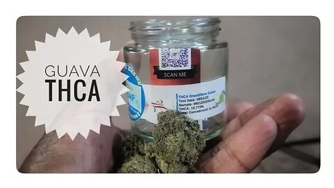 THCA Grandiflora Guava (JK Distro)