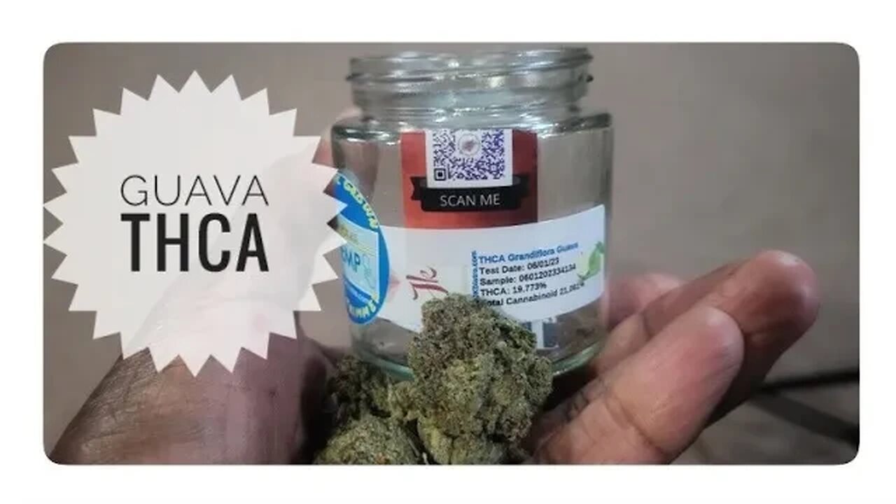 THCA Grandiflora Guava (JK Distro)