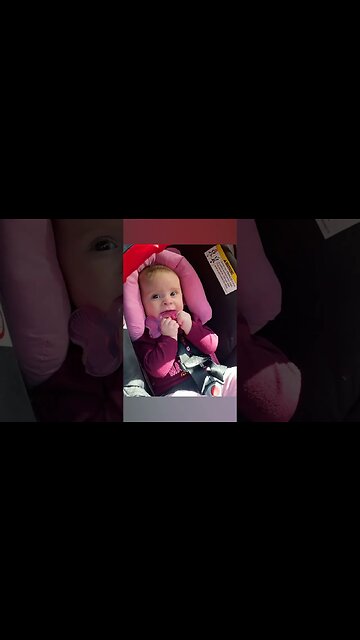 Exploring Ochopee Florida