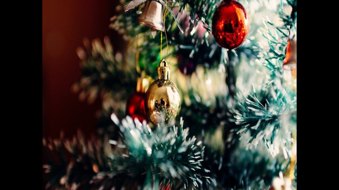 MUSICAL LIGHTS! Texas family syncs holiday display to Selena song - ABC15 Digital