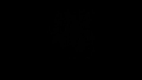 How to pronounce drop the mic