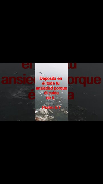 Verso Del Día | Lectura Inspiradora Para Empezar El Día. | 80