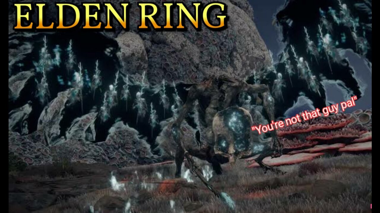 Elden Ring Is That Guy