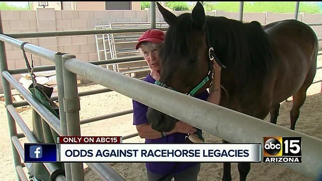 Arizona is home to retired race horses