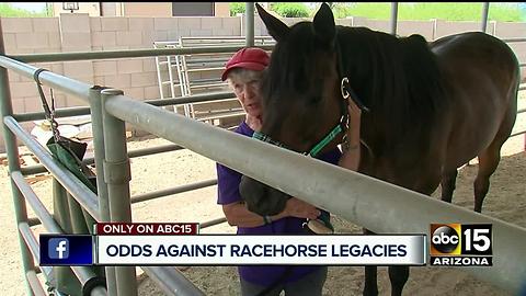 Arizona is home to retired race horses