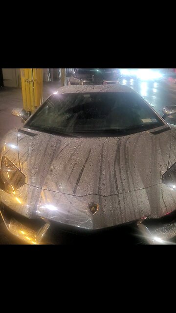 Lamborghini Left in the Rain 🐑☔