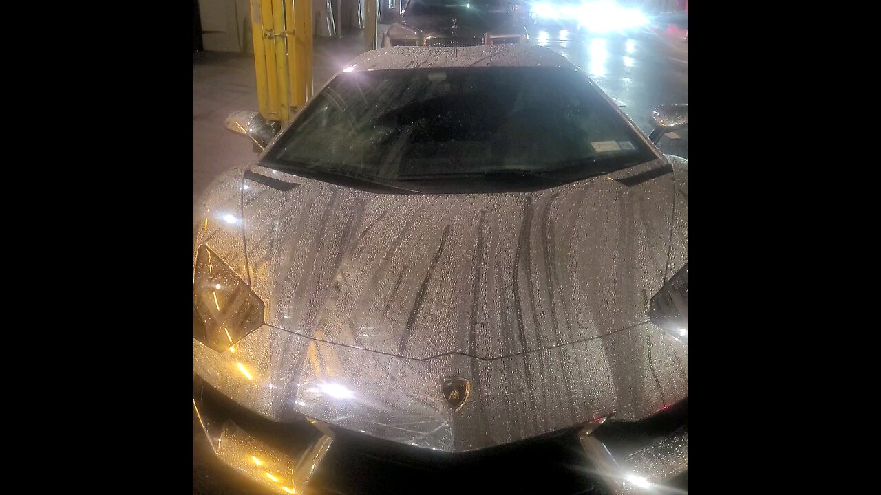 Lamborghini Left in the Rain 🐑☔