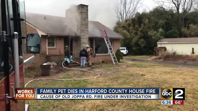 One person rushed to hospital after fire