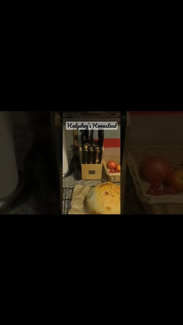 Sourdough potato loaf #hedgehogshomestead