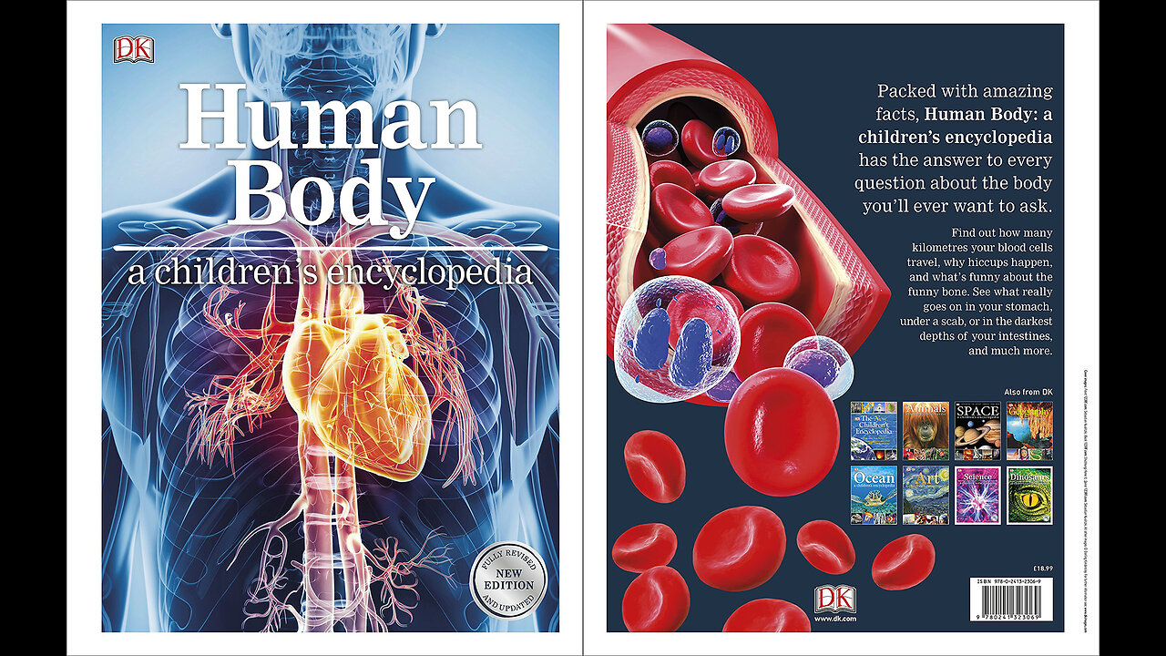 Human Body A Children's Encyclopedia