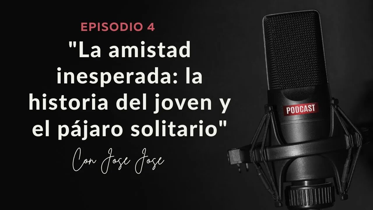 La amistad inesperada: la historia del joven y el pájaro solitario