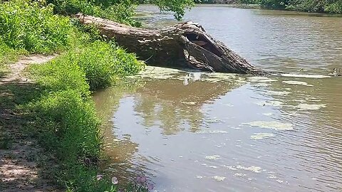 Fort Parker State Park