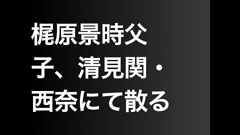 梶原景時父子、清見関・西奈にて散る