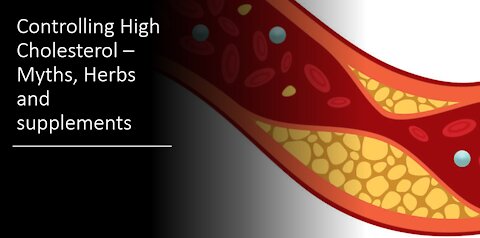 Cholesterol Herbs & Supplements