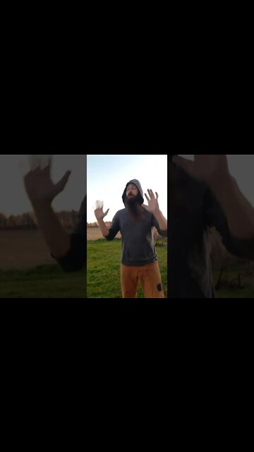 #breakfast #bagels #skitsbystrangedanimal #ohhighbud