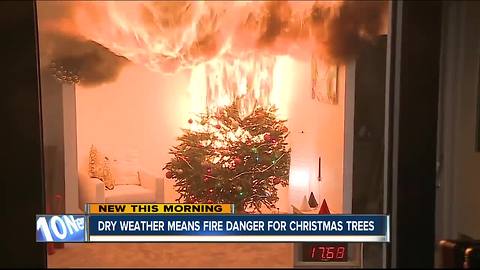 Dry weater creates higher risk for Christmas tree fires this year