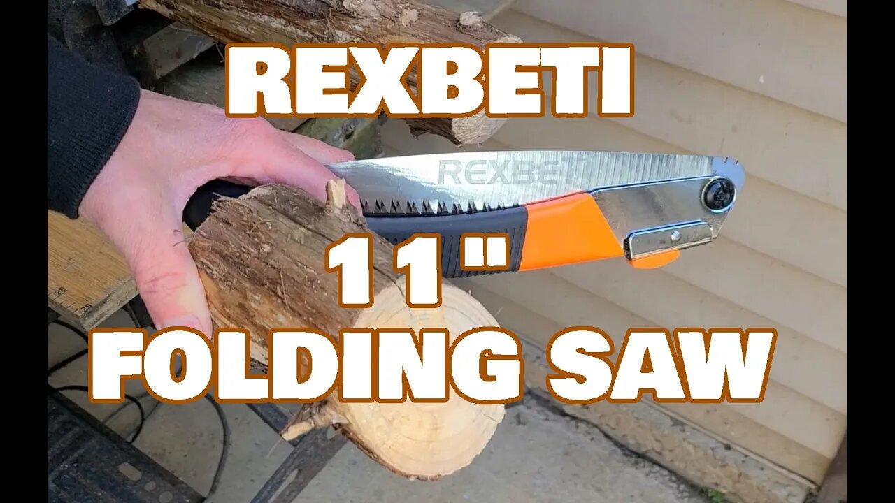 11 Inch Rexbeti Folding Saw Demo and Cut on a dying tree section