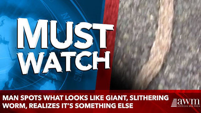 Man Spots What Looks Like Giant, Slithering Worm, Realizes It’s something else