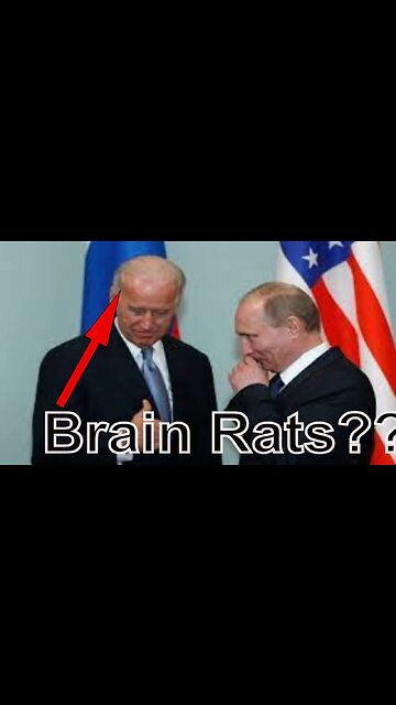 Bidens He`s Got a Case of BRAIN RATS..