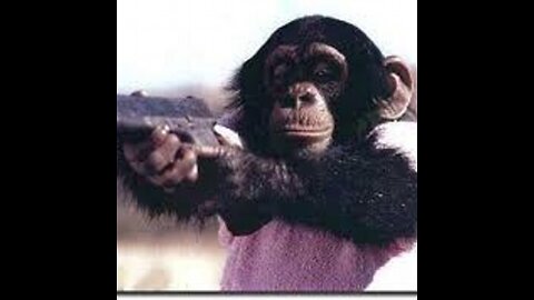 TW ● CLUBE DE REGATAS SPENCE DA GAMA vs DIPLOMATAS ● 03/04/22