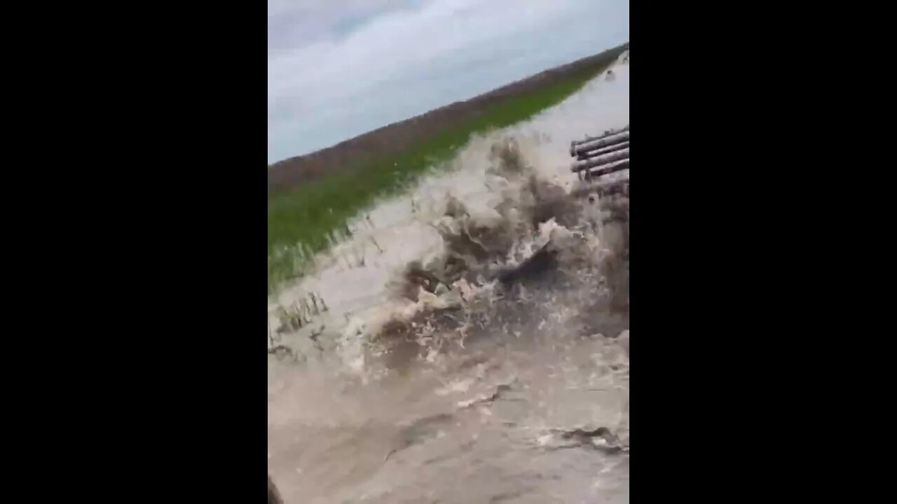 Farmer accidentally harvests an alligator