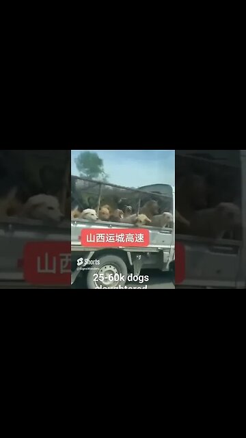 This is absolutely heartbreaking 😭