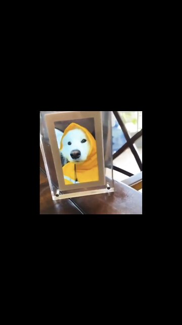 A smile for your timeline.. 😊 #shorts