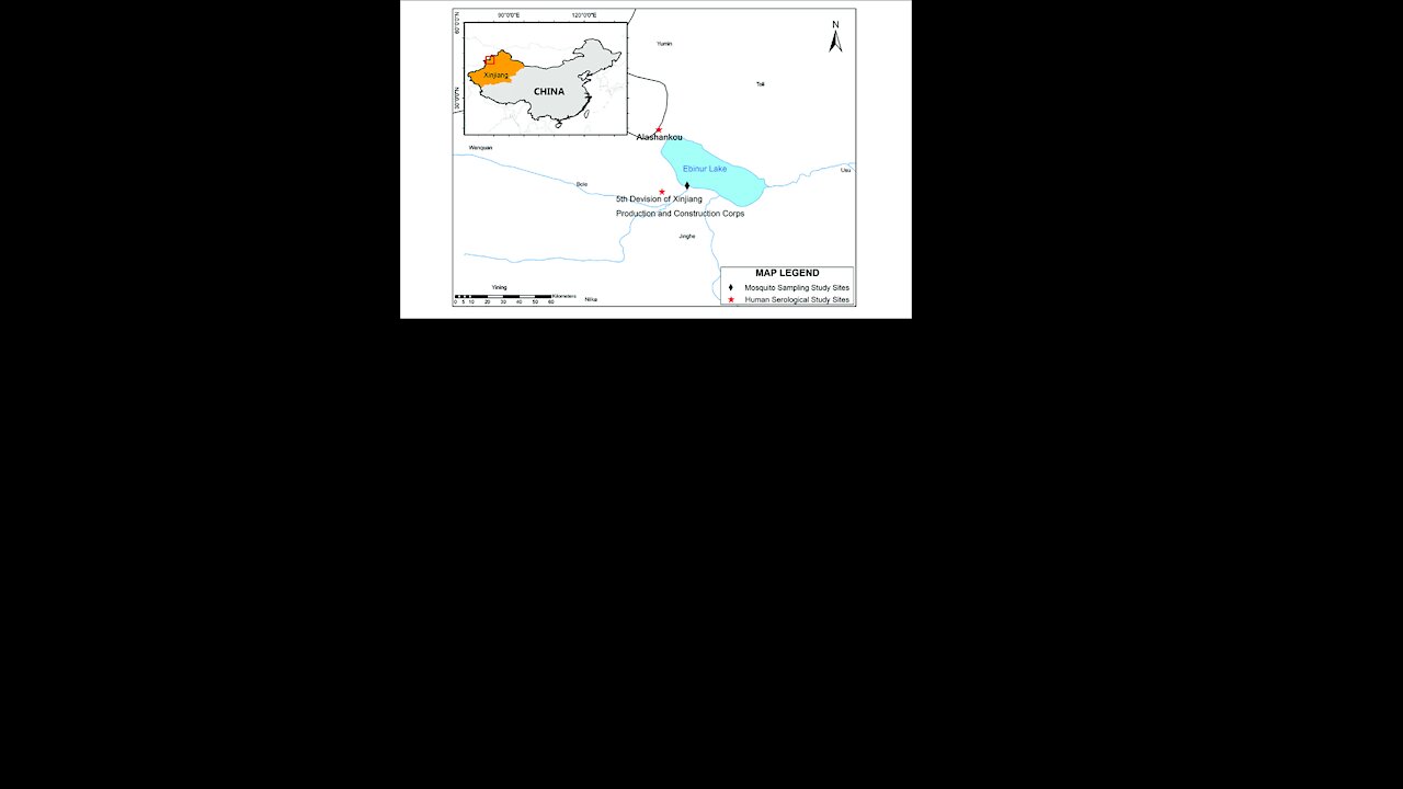 The new "China" virus is already there...it´s called "Ebinur Lake Virus"