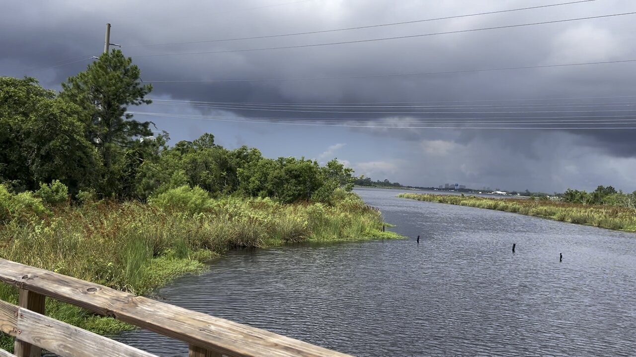 Gulf State Park Trails