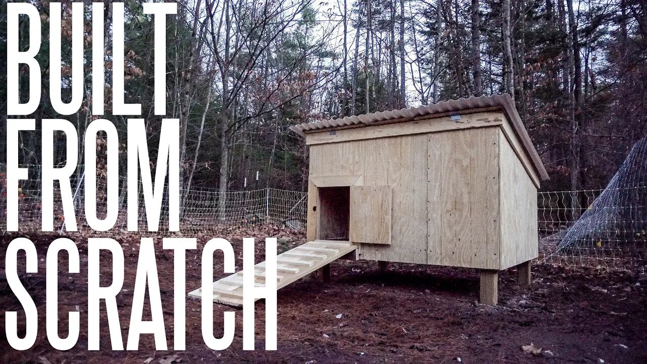 The Entire Duck House From Start To Finish! (In 10 Minutes)