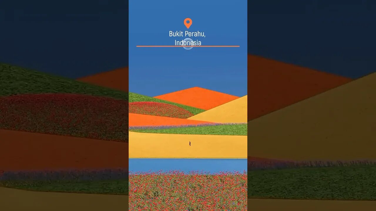 That’s All Flowers! 🤩