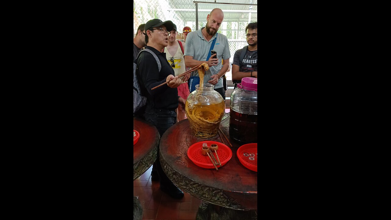 Famous snake wine in Vietnam
