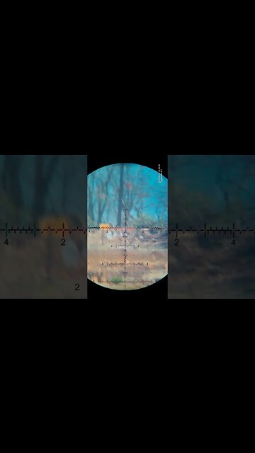 Dialing for distance!