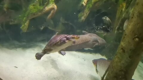 National Aquarium