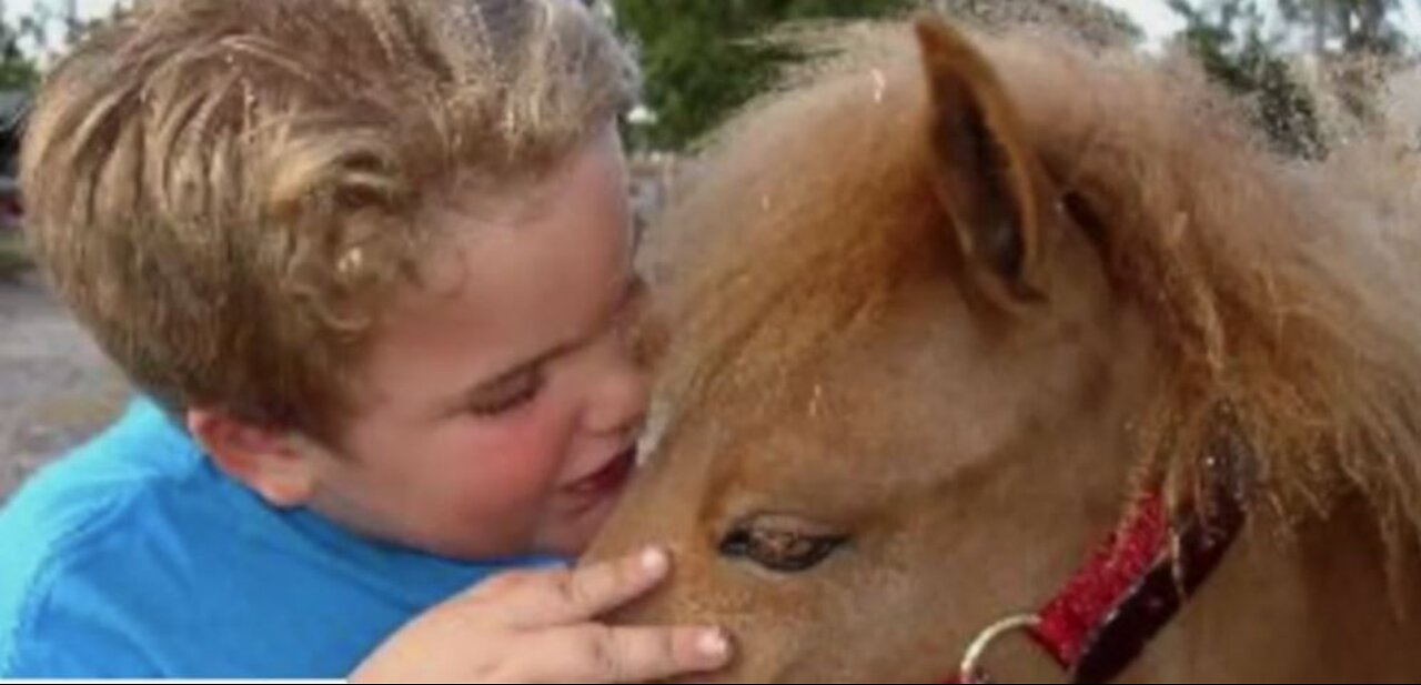 Mom uses pony therapy to help others