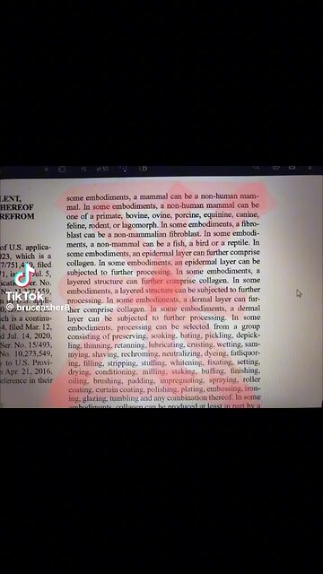 DAYZ OF NOAH AND CHIMERIC INSANITY