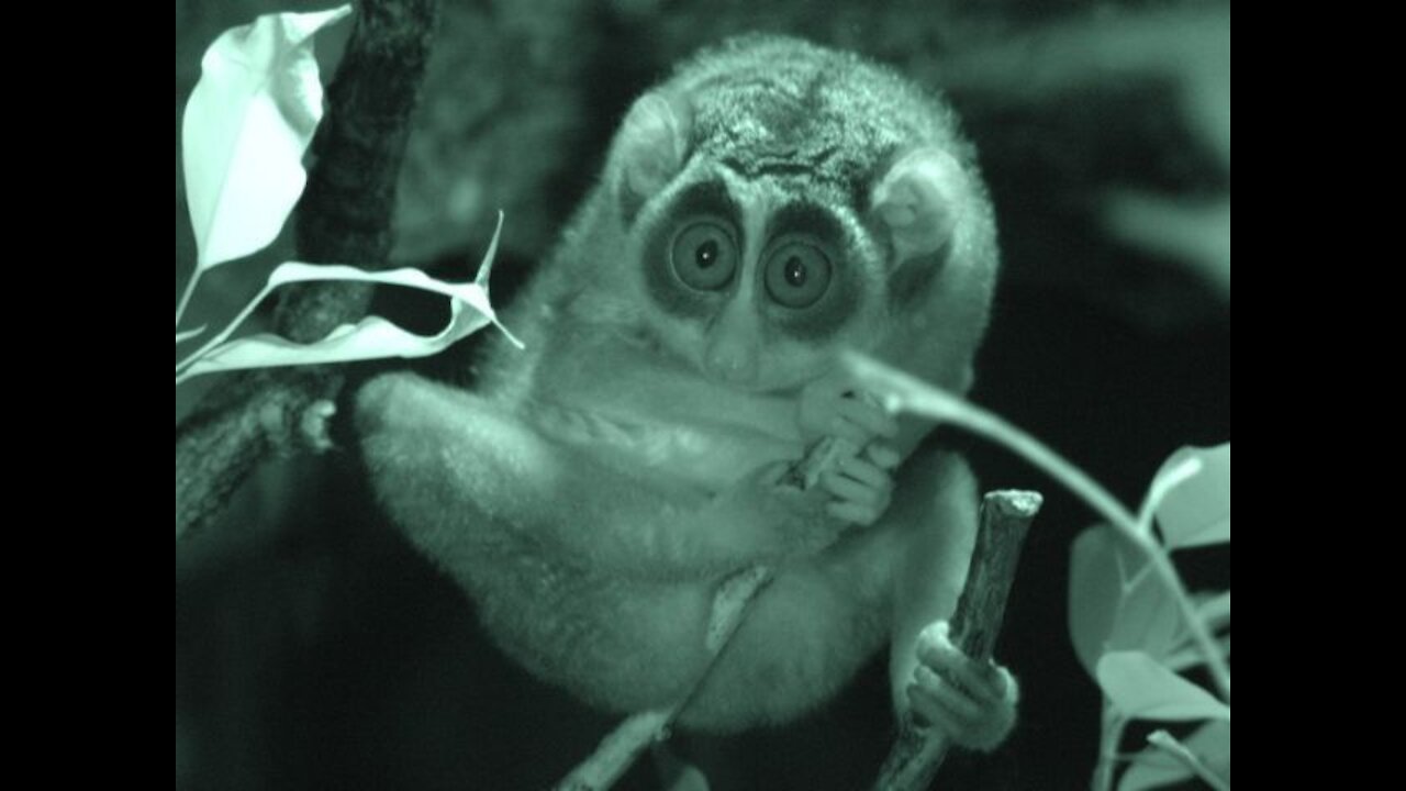 Bank Accounts Seized, Lines Of Credit Cancelled, Credit Card Debt Soars