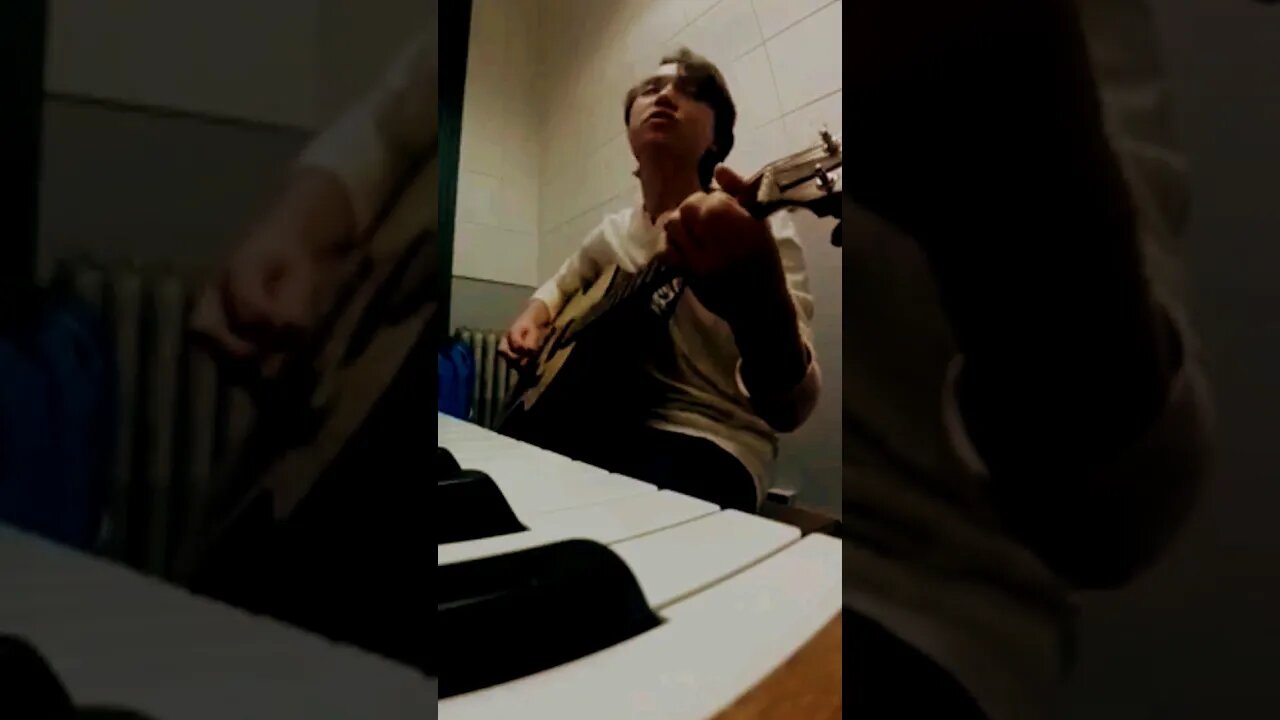 Spend Your Lives in Sin & Misery #houseoftherisingsun #shorts #acousticcovers