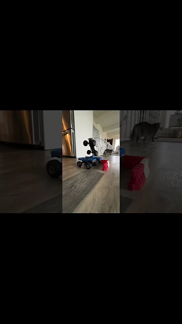 Mini Monster Truck Fun With The FMS Smasher