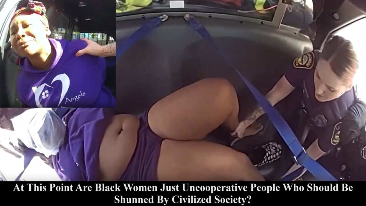 Simple Traffic Stop Turns Violent FAST! Are Black Women Just Naturally Uncooperative?