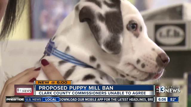 Proposed puppy mill ban in Clark County