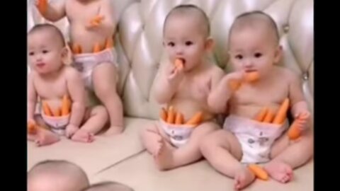 Funny Twin Babies Compilation -Twins Baby Video - TIK TOK Compilation