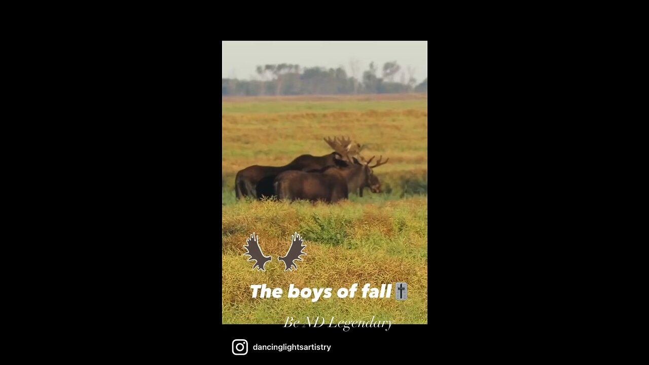 The boys of fall🎚
