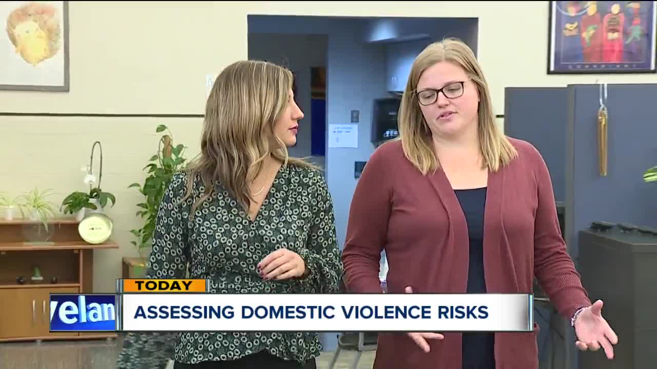 Assessing domestic violence risks