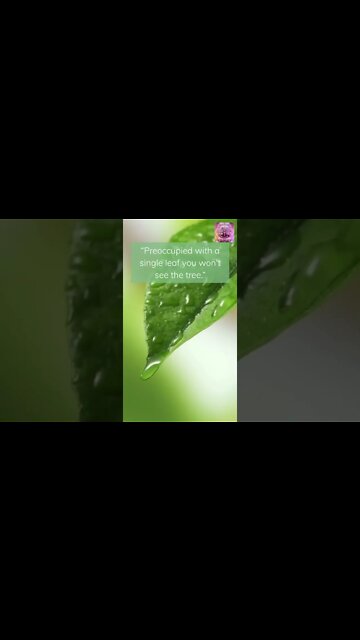 Preoccupied with a SINGLE leaf you wont see the tree #shorts #calmedbymusic #mindfulness