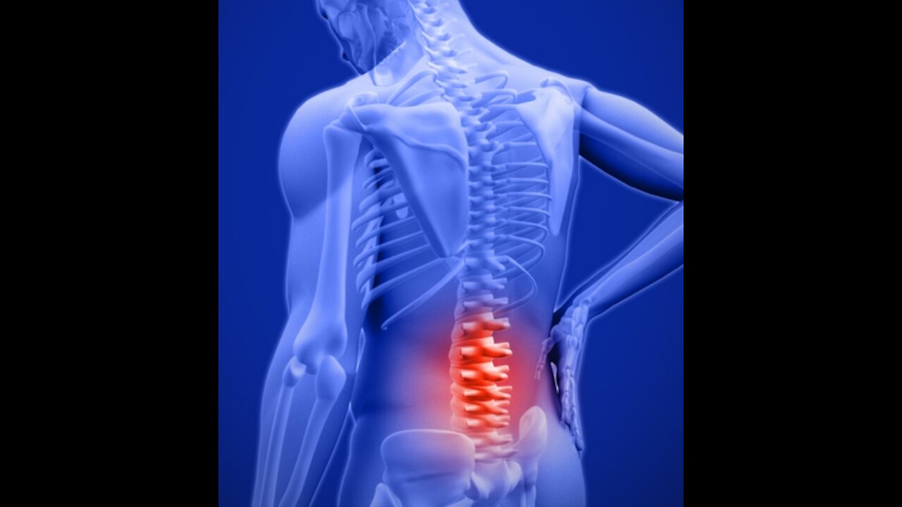 Chronic Low Back Pain : Understanding lower back structures and treatment approaches