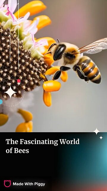 Bees have their own "hive-five" ritual…