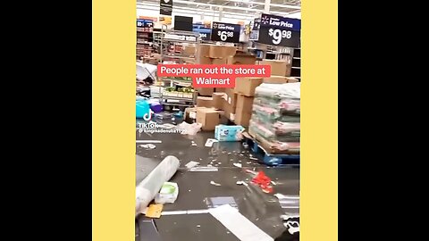 Walmart Looters